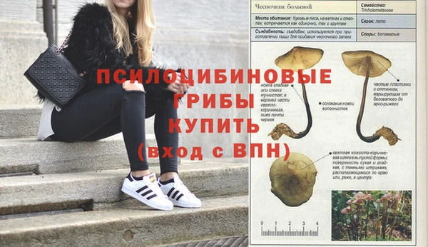 хмурый Липки