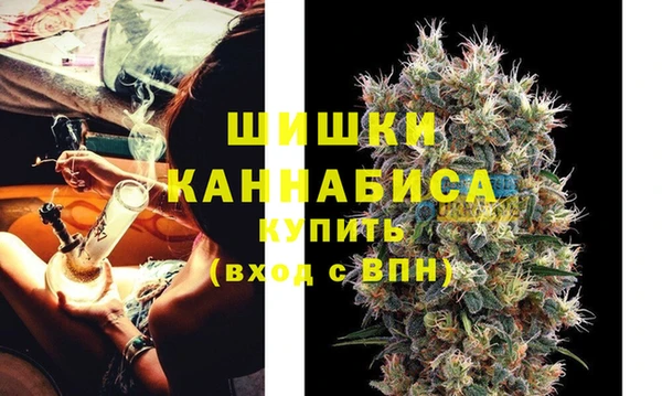 хмурый Липки
