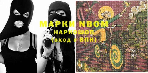хмурый Липки