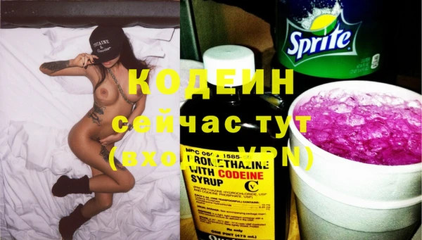 хмурый Липки