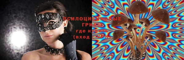 винт Лабытнанги