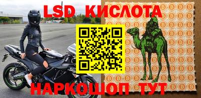 молекула духа Кандалакша