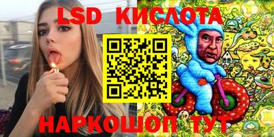 молекула духа Кандалакша