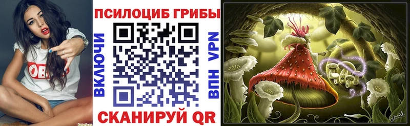 Псилоцибиновые грибы мицелий  Сунжа 