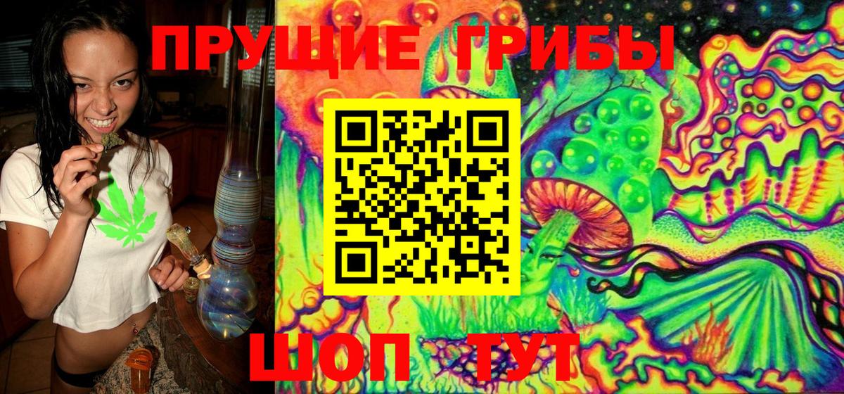 Псилоцибиновые грибы GOLDEN TEACHER Сунжа