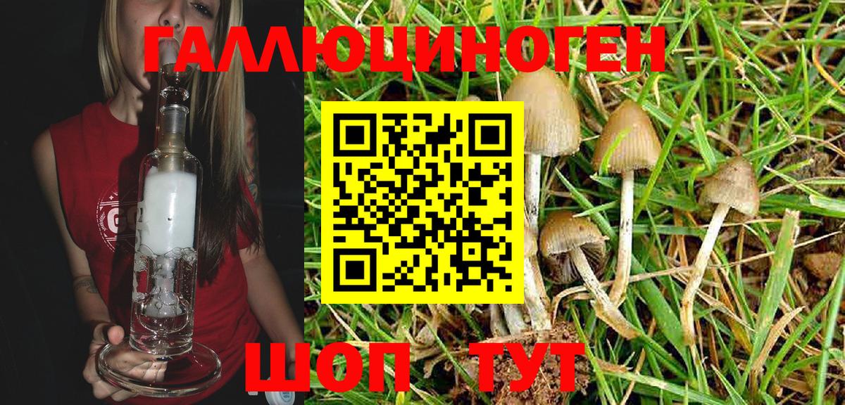 Псилоцибиновые грибы Psilocybe  Вход с VPN  Сунжа  Галлюциногенные грибы GOLDEN TEACHER 