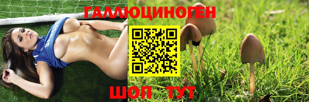 Псилоцибиновые грибы Psilocybe Сунжа