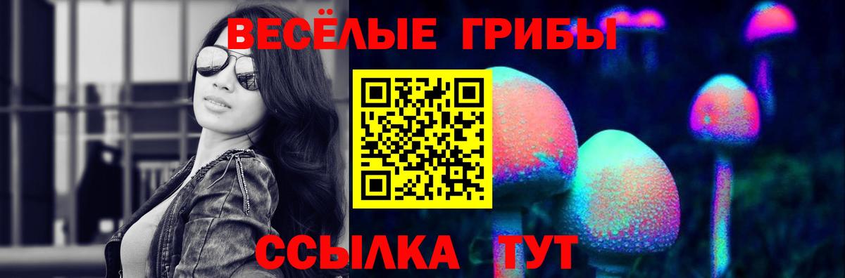 Галлюциногенные грибы Psilocybine cubensis  Галлюциногенные грибы прущие грибы  Сунжа 